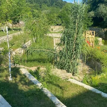 Sosyete Cobani Dogal Yasam Hotel *