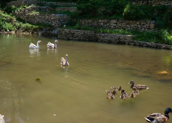 Sosyete Cobani Dogal Yasam Szálloda